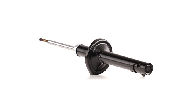51606S2HG02 OE RIDEX Shock absorber 854S1421