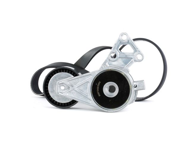 RIDEX 542R0045 V formos rumbuotas diržas, komplektas SKODA Octavia II Combi (1Z5) 2.0 FSI 4x4 benzinas 150 AG 2009