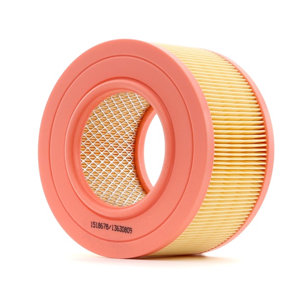 025129620A OE RIDEX Zracni filter 8A0542