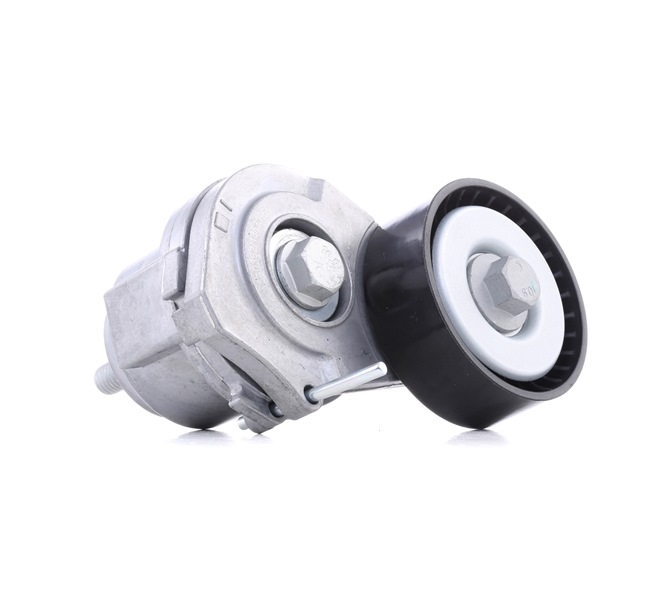 55565570 OE RIDEX Poulie, tendeur de courroie d'accessoire 310T0103