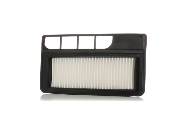 Filtro de aire 1378084E50 RIDEX 8A0555