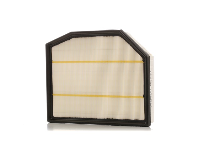 RIDEX 8A0565 Oro filtras BMW Z4 Roadster (E85) 3.0 si benzinas 265 AG 2006