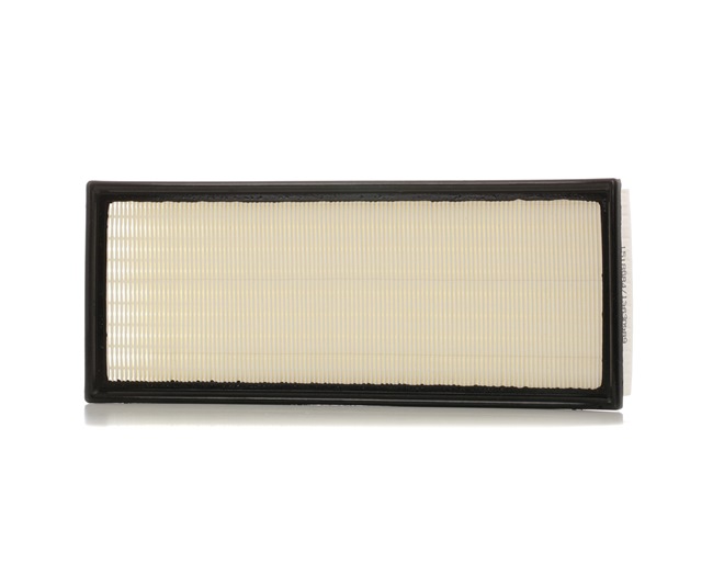 C2S11215 OE RIDEX Filtre à air 8A0566