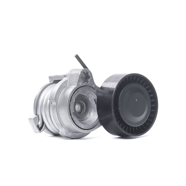 11280415304 OE RIDEX Tensioner pulley 310T0141