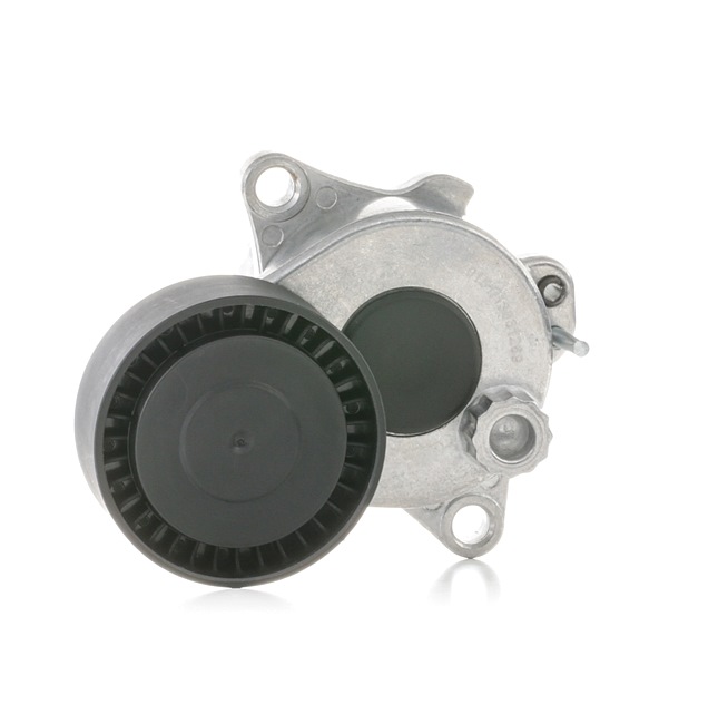 A6512001870 OE RIDEX Poulie, tendeur de courroie d'accessoire 310T0158