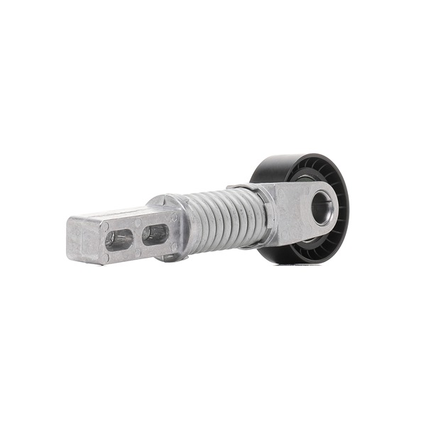 RIDEX 310T0162 Rullo tenditore, cinghia poly-v RENAULT Scénic I (JA0/1_, FA0_) 1.9 dCi RX4 Diesel 101 CV 2003 prezzo