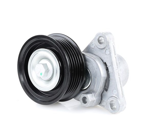 RIDEX 310T0212 Rolo tensor, correia trapezoidal estriada MAZDA 6 Hatchback (GG) 2.0 (GGES) Gasolina 147 cv 2007 preço