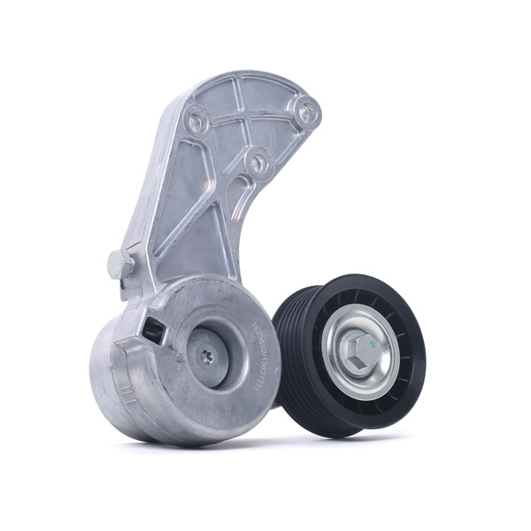 RIDEX 310T0219 Rolo tensor VW Touareg I (7LA, 7L6, 7L7) 3.2 V6 Gasolina 241 cv 2005 preço