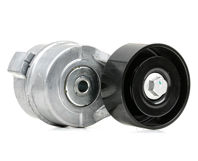 252814A010 OE RIDEX Rullo tenditore cinghia Poly-V 310T0234