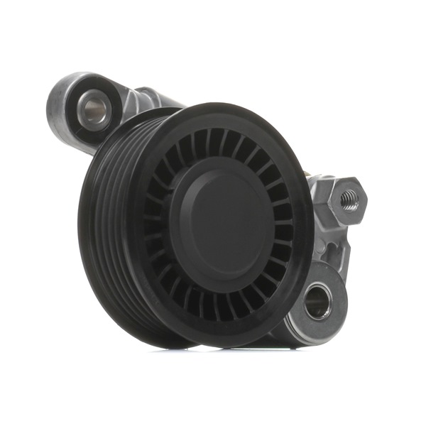 RIDEX 310T0239 Spannrolle VW LT 28-35 II Bus 2.5 TDI 109 PS Diesel 2005
