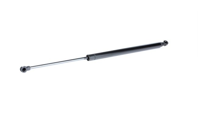 219G0569 RIDEX BHE780012 Heckklappendämpfer
