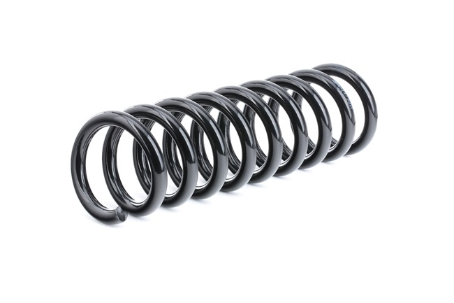 210324 OE RIDEX Ressort de suspension 188C0435