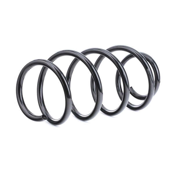 312196 OE RIDEX Coil spring 188C0462