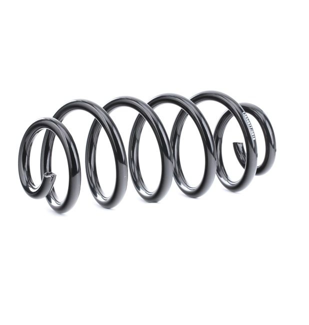 RIDEX 188C0490 Ressort de suspension VOLKSWAGEN Passat B5 GP Break (3BG, 3B6) 2.5 TDI Diesel 163 CV 2003 prix