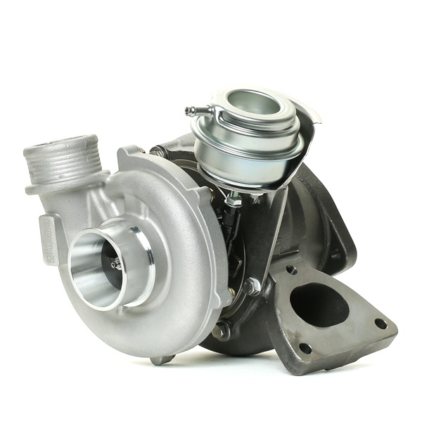 8689592 OE RIDEX Компрессор, наддув 2234C0050