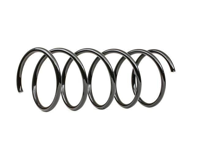 RIDEX 188C0528 Fjeder PEUGEOT 306 hatchback (7A, 7C, N3, N5) 1.4 Benzin 75 HK 2001 pris