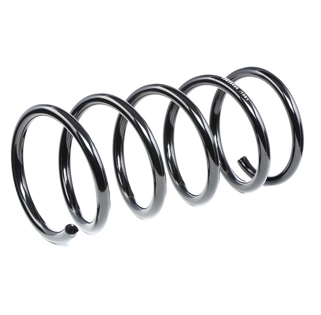 RIDEX 188C0538 Fjærer VOLVO S80 I (184) 2.0 T Bensin 180 hk 2006 pris