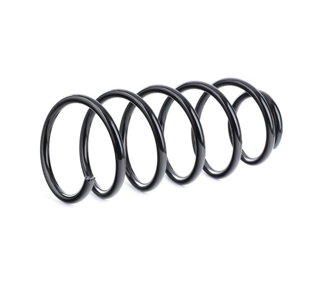 RIDEX 188C0581 Molle VOLKSWAGEN Polo Variant (6V5) 1.4 Benzina 54 CV 1999 prezzo