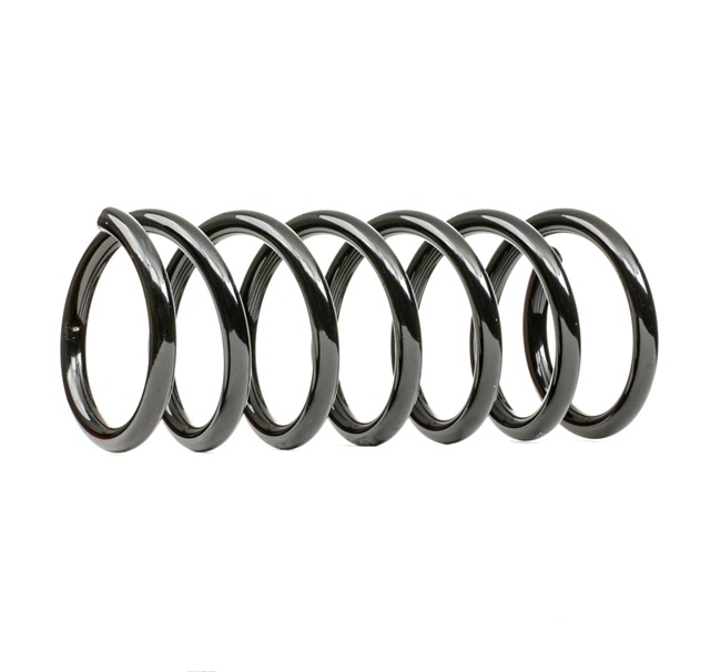 RIDEX 6G915560FBD Jousi (auton jousitus) 188C0583