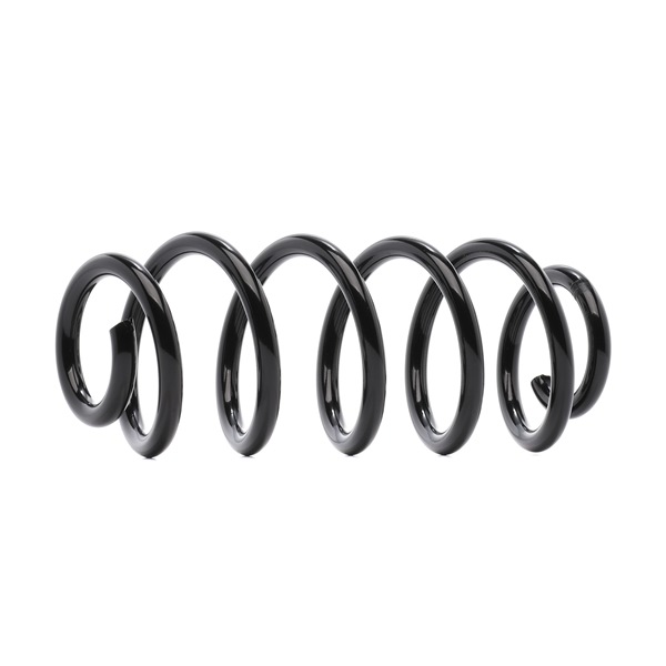 RIDEX 188C0587 Spyruoklės AUDI A6 Avant (4F5, C6) 2.8 FSI benzinas 210 AG 2008