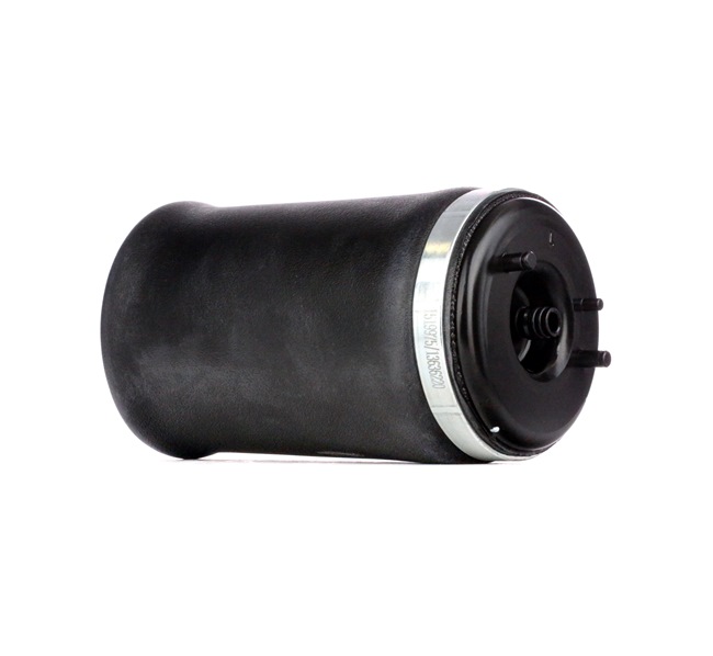 37121095579 OE RIDEX Ressort pneumatique 4119A0009