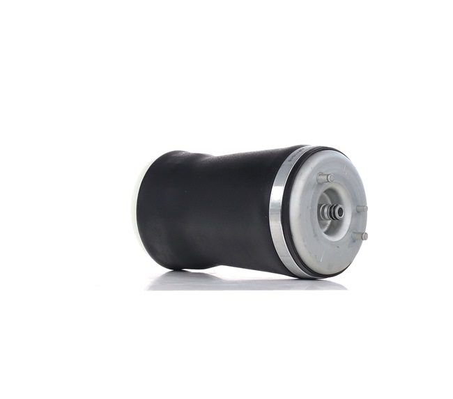 37121095579 OE RIDEX Ressort pneumatique 4119A0019