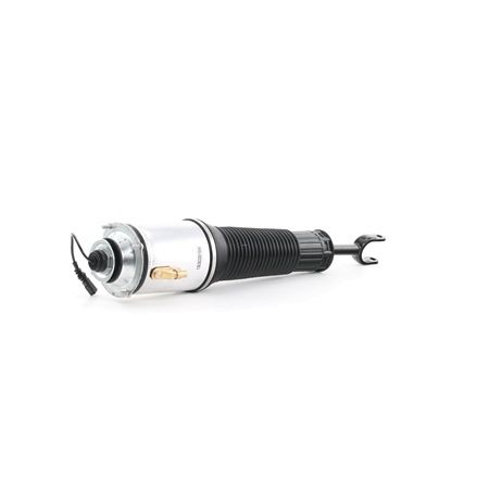 3D0616040AC OE RIDEX Luftdempere 4118A0002