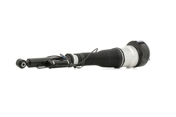 A2213205513 OE STARK Air suspension strut SKAST-1860005