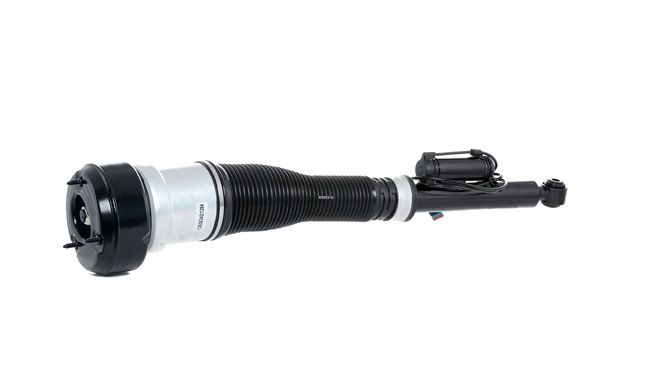 A2213205513 OE RIDEX Air suspension strut 4118A0006