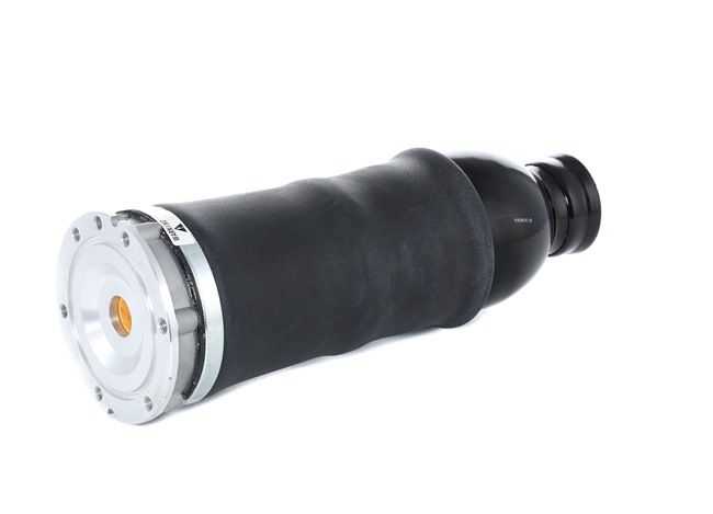Ressort pneumatique RIDEX 4119A0022 appropriées pour AUDI pas cher