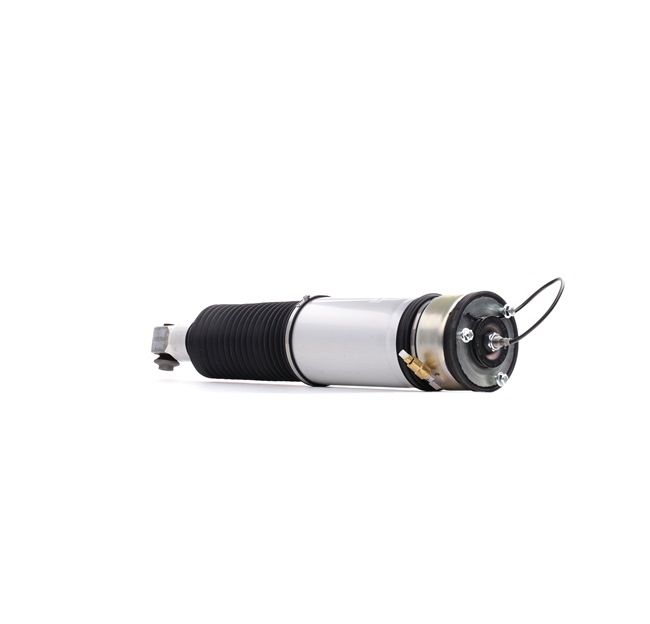 STARK SKAST-1860008 Elemento de suspensão pneumática BMW E65 730d 3.0 Diesel 218 cv 2004 preço