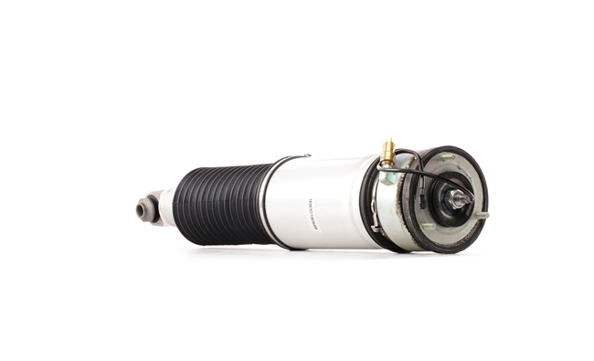 RIDEX 4118A0009 Suspensão pneumática BMW 7 (E65, E66, E67) 730d 3.0 Diesel 218 cv 2003 preço