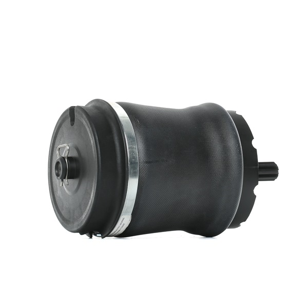 RIDEX RKB500080K Ilmajousi 4119A0024