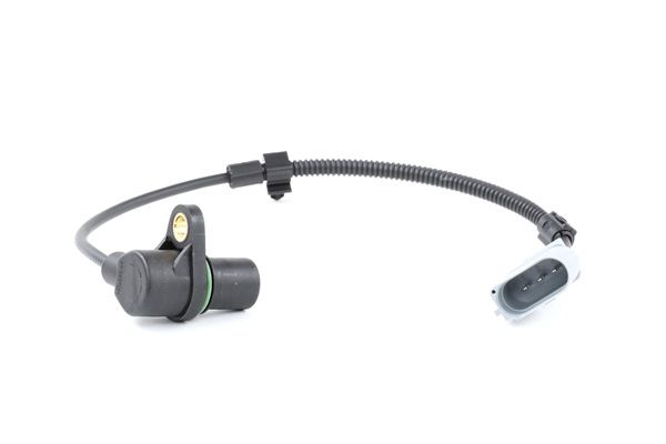 RIDEX 833C0177 Variklio elektra Touareg 7L 3.2 V6 benzinas 241 AG 2004