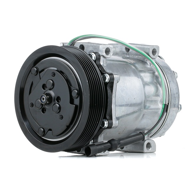 RIDEX 1685170 Aircopomp