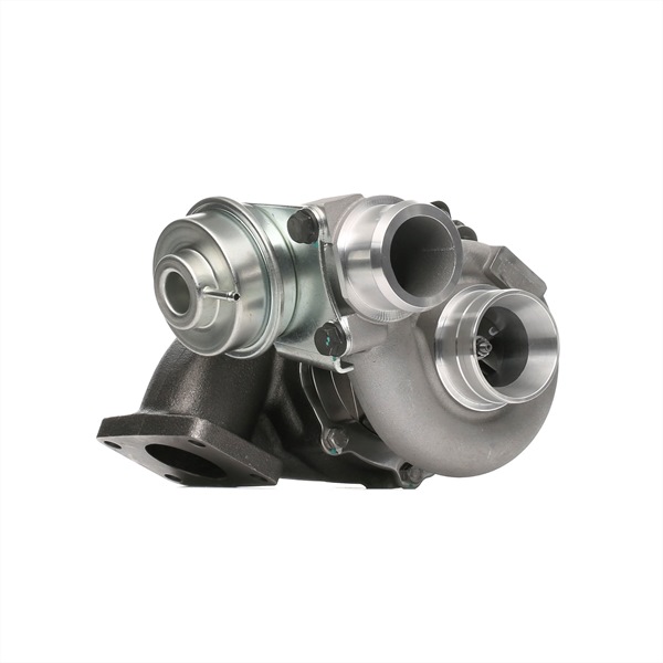 2234C0125 RIDEX 076145701B Turbolader
