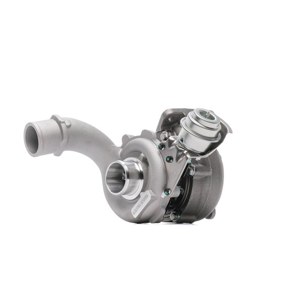 RIDEX 2234C0152 Turbolader RENAULT Megane II Schrägheck (BM, CM) 1.9 dCi 120 PS Diesel 2005