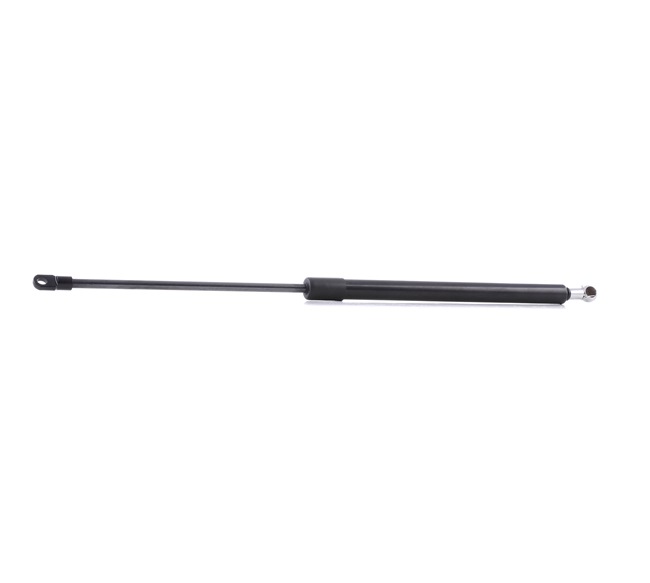 219G0605 RIDEX 533827550A Heckklappendämpfer