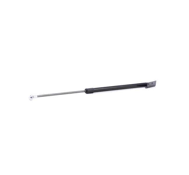 219G0580 RIDEX 63269AJ000 Heckklappendämpfer