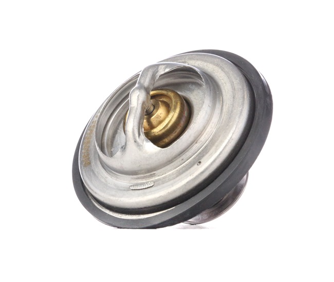 RIDEX 316T0050 Calorstat Peugeot 205 Phase 2 1.7 Diesel Diesel 60 CV 1997 prix