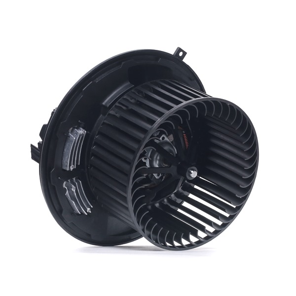 RIDEX A1698201342 Interieurventilatie