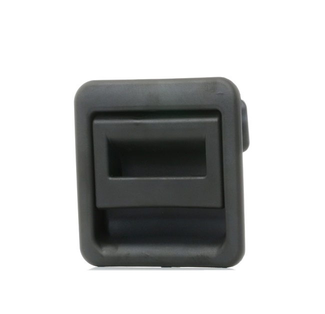 1301418808 OE RIDEX Pega de porta 1373D0015