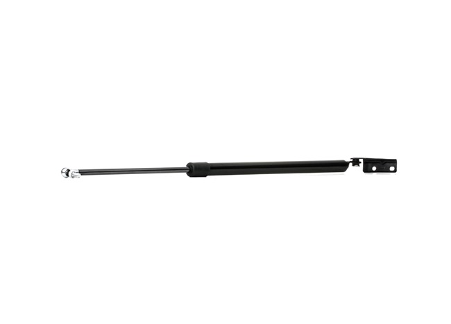 RIDEX 8178002011 Kaasujousi, tavaratila 219G0582