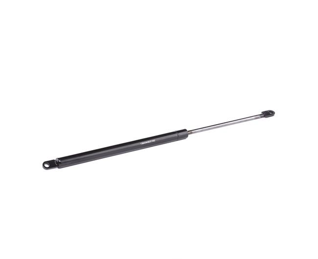 RIDEX 219G0682 Coffre à bagages SUZUKI SWIFT I (AA) 1.3 Essence 73 CV 1989 prix