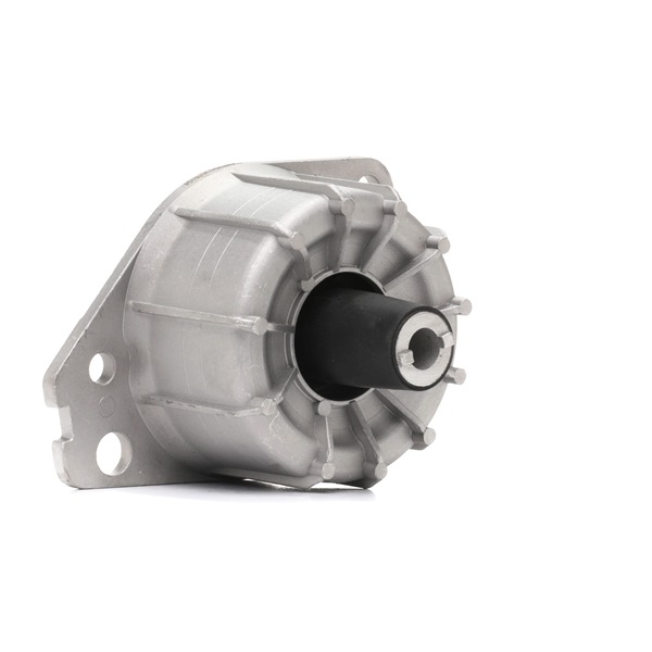 46455421 OE RIDEX Vlezajenje, motor 247E0197