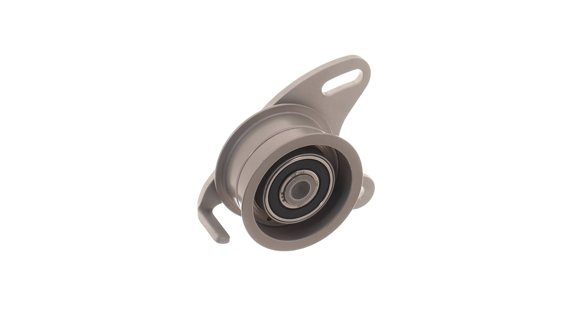 Polea tensora, correa dentada MD050135 SKF VKM 75601