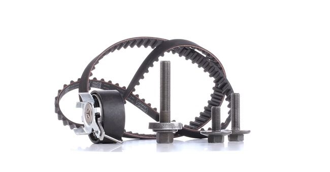 SKF VKMA 04226 Cambelt kit FORD Fiesta Mk6 Hatchback (JA8, JR8) 1.4 Petrol 97 hp 2013 price