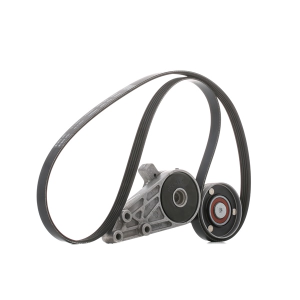 Acheter SKF Jeu de courroies trapézoïdales à nervures VKMA 31034