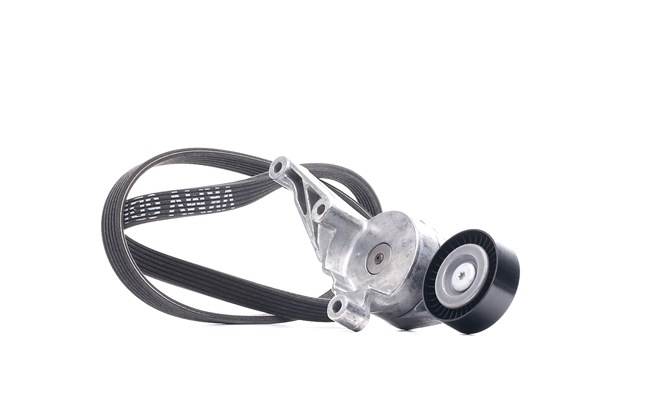 038903137S OE SKF Keilrippenriemensatz VKMA 31091