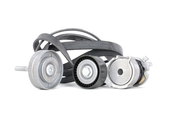 SKF VKMA 31121 Correa de alternador VOLKSWAGEN FOX